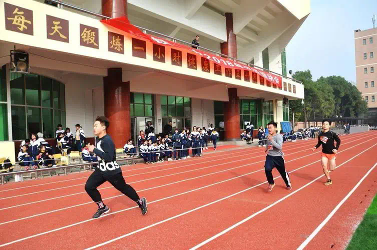 泰尼飞网球拍德约